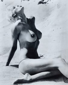 Brigitte Nielsen 'Top Model & Movie Star, Vintage original Photo 1980s