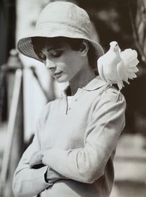 Terry O'Neill, 'Audrey Hepburn with a Dove', 1966