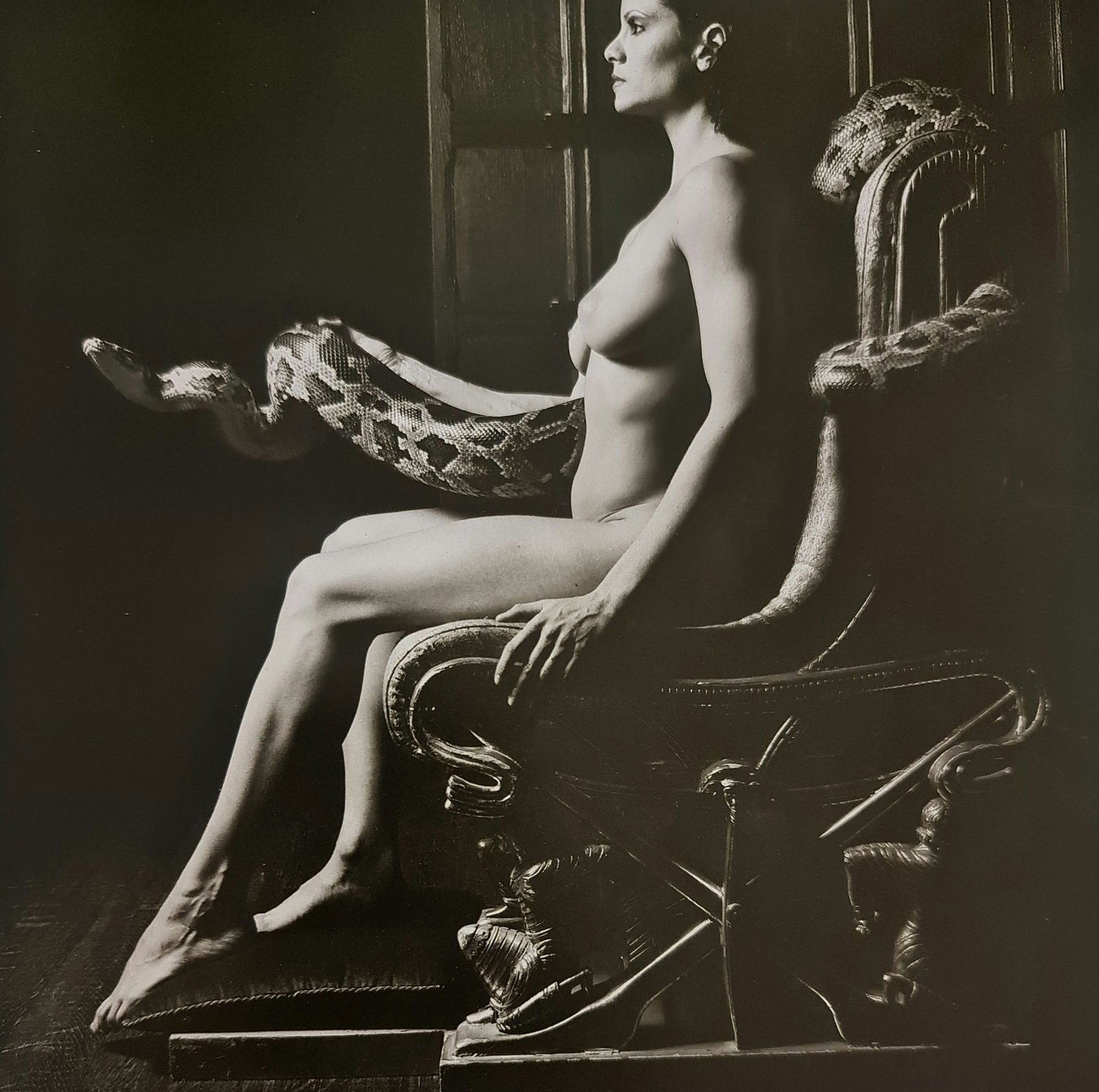 Robert Mapplethorpe, Untitled, 1982 (1 of 1)