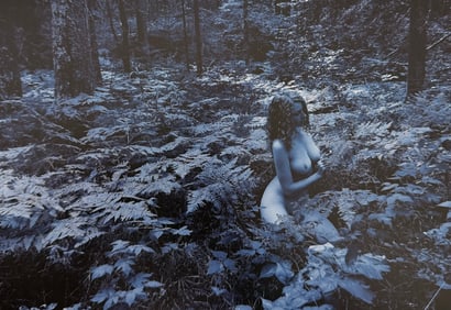 Beauty of Minnesota, 2012