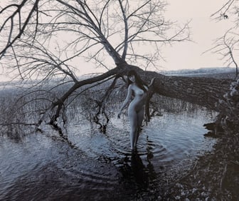 Beauty of Minnesota, 2012