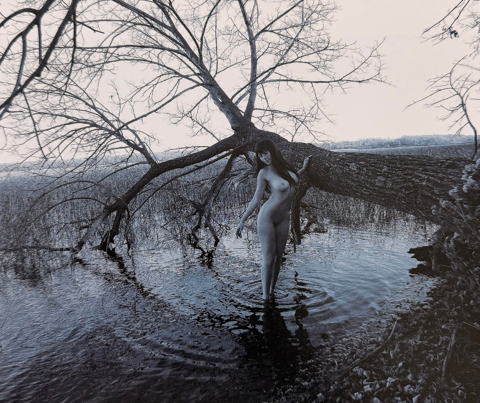 Beauty of Minnesota, 2012 (1 of 1)