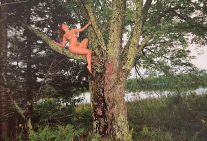 Beauty of Minnesota, 2012