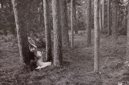 Beauty of Minnesota, 2012