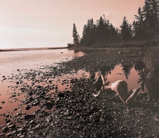 Beauty of Minnesota, 2012