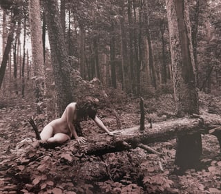 Beauty of Minnesota, 2012