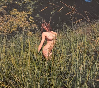 Beauty of Minnesota, 2012