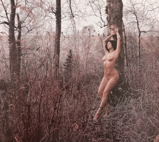 Beauty of Minnesota, 2012