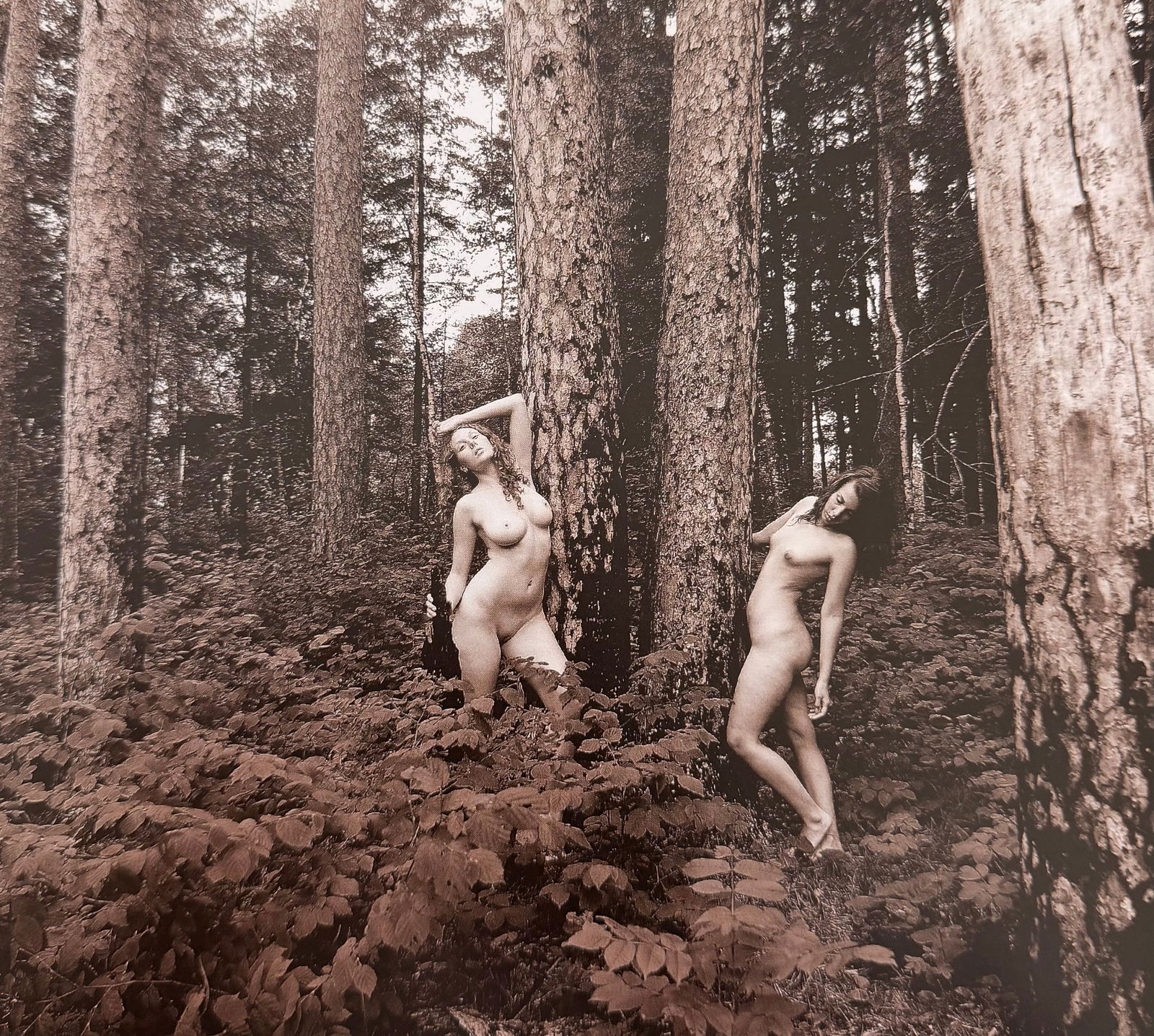 Beauty of Minnesota, 2012 (1 of 1)