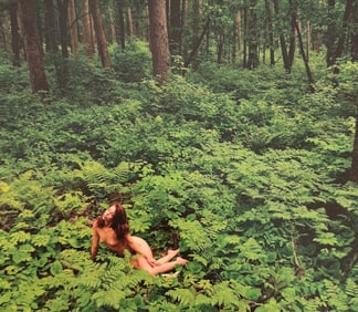 Beauty of Minnesota, 2012