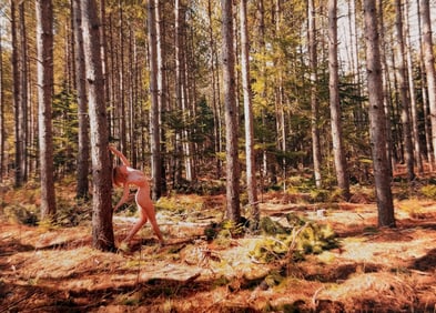 Beauty of Minnesota, 2012