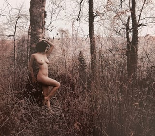 Beauty of Minnesota, 2012