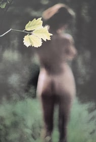 Michael Gnade, Perfect Nude, 1980