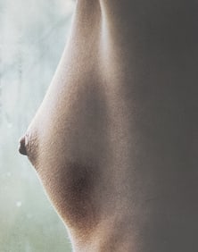 Michael Gnade, Perfect Nude, 1980