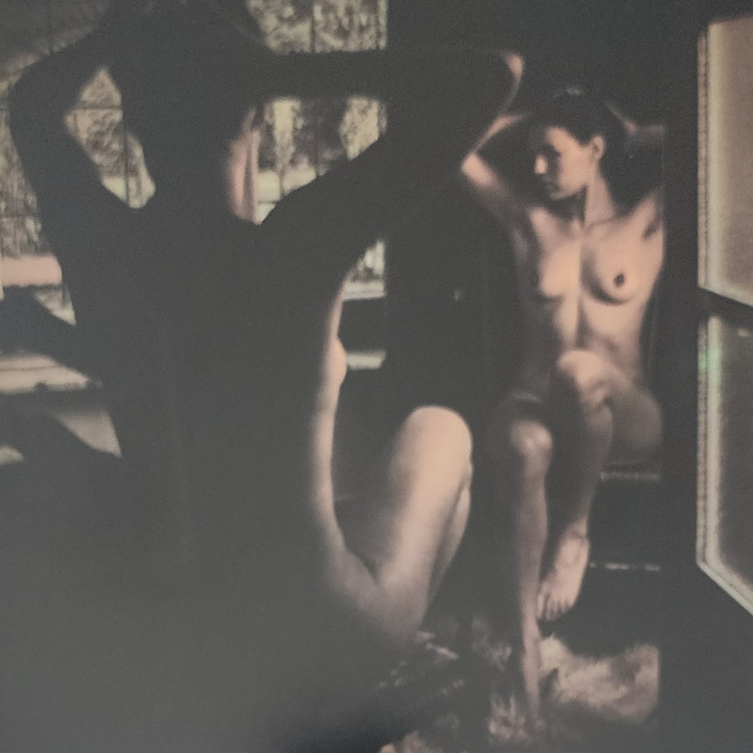 Michael Gnade, Perfect Nude, 1980 (1 of 1)