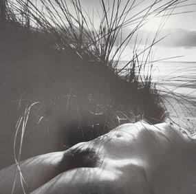 Michael Gnade, Perfect Nude, 1980