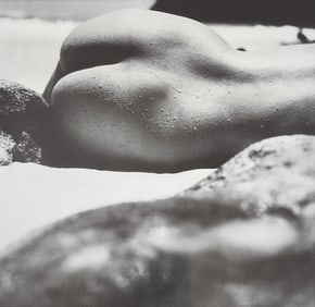 Michael Gnade, Perfect Nude, 1980