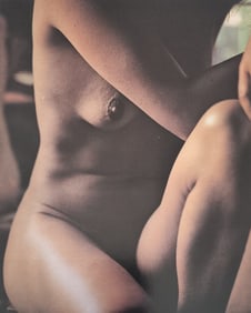 Michael Gnade, Perfect Nude, 1980