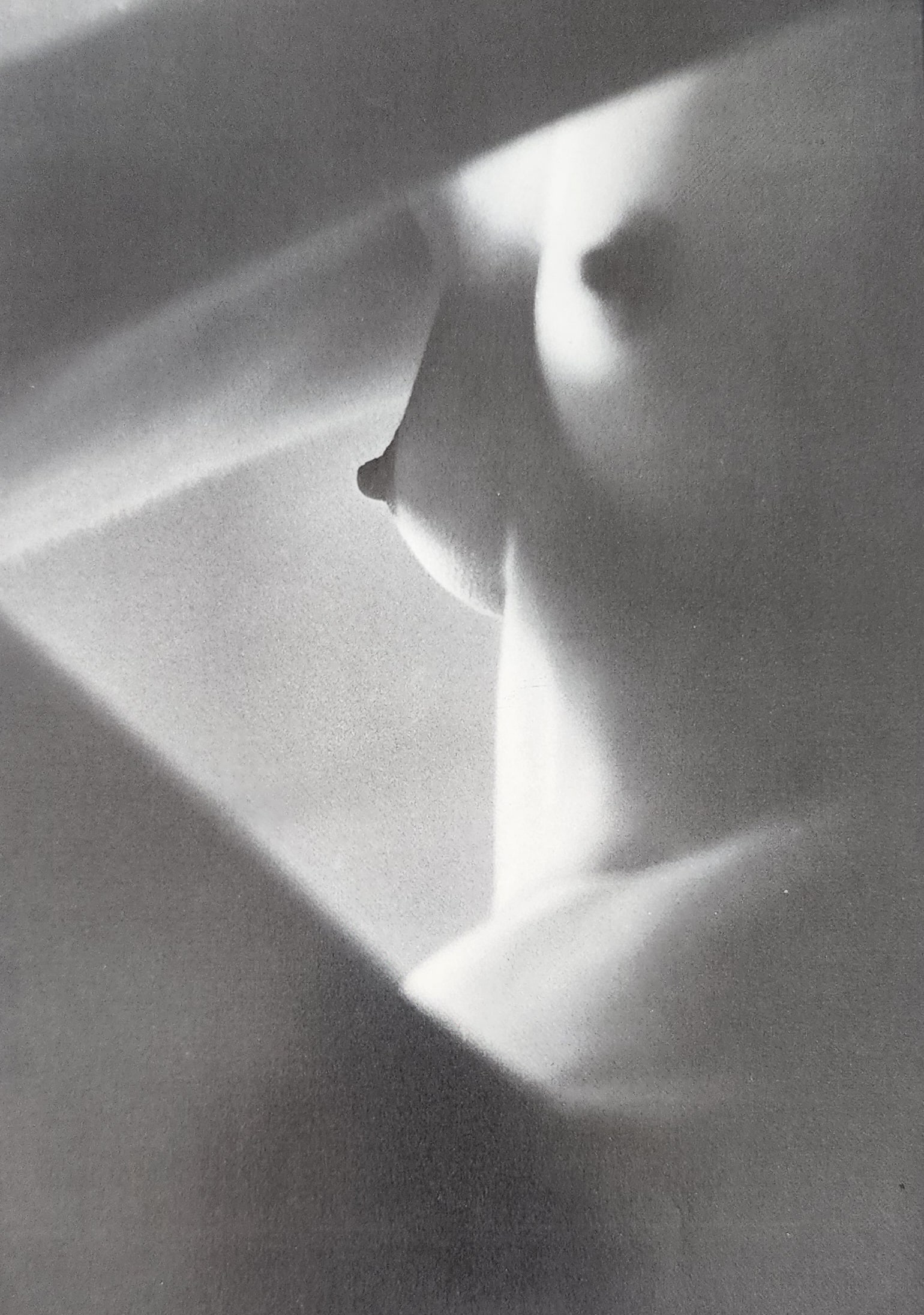 Michael Gnade, Perfect Nude, 1980 (1 of 1)