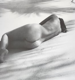 Michael Gnade, Perfect Nude, 1980