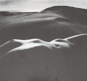 Michael Gnade, Perfect Nude, 1980