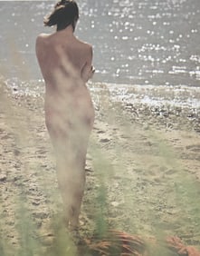 Michael Gnade, Perfect Nude, 1980