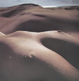 Michael Gnade, Perfect Nude, 1980