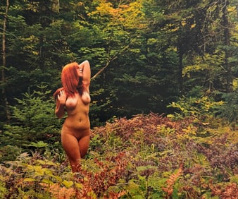 Beauty of Wisconsin, 2019