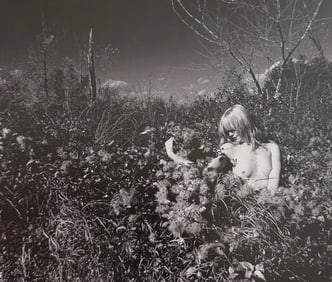 Beauty of Wisconsin, 2019