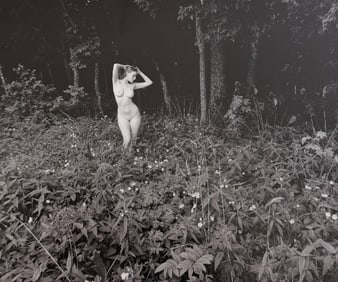 Beauty of Wisconsin, 2019