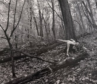 Beauty of Wisconsin, 2019