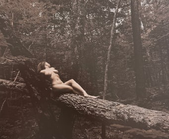 Beauty of Wisconsin, 2019