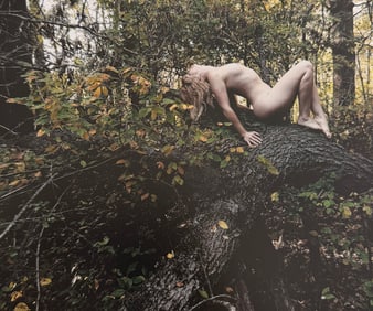 Beauty of Wisconsin, 2019