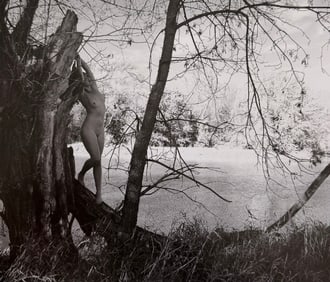 Beauty of Wisconsin, 2019