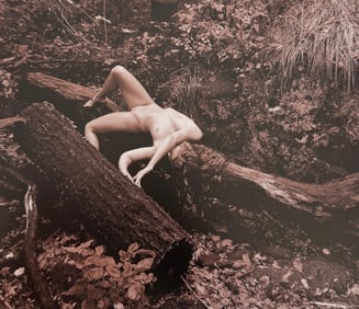 Beauty of Wisconsin, 2019