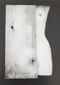 Reality Nude, 2004