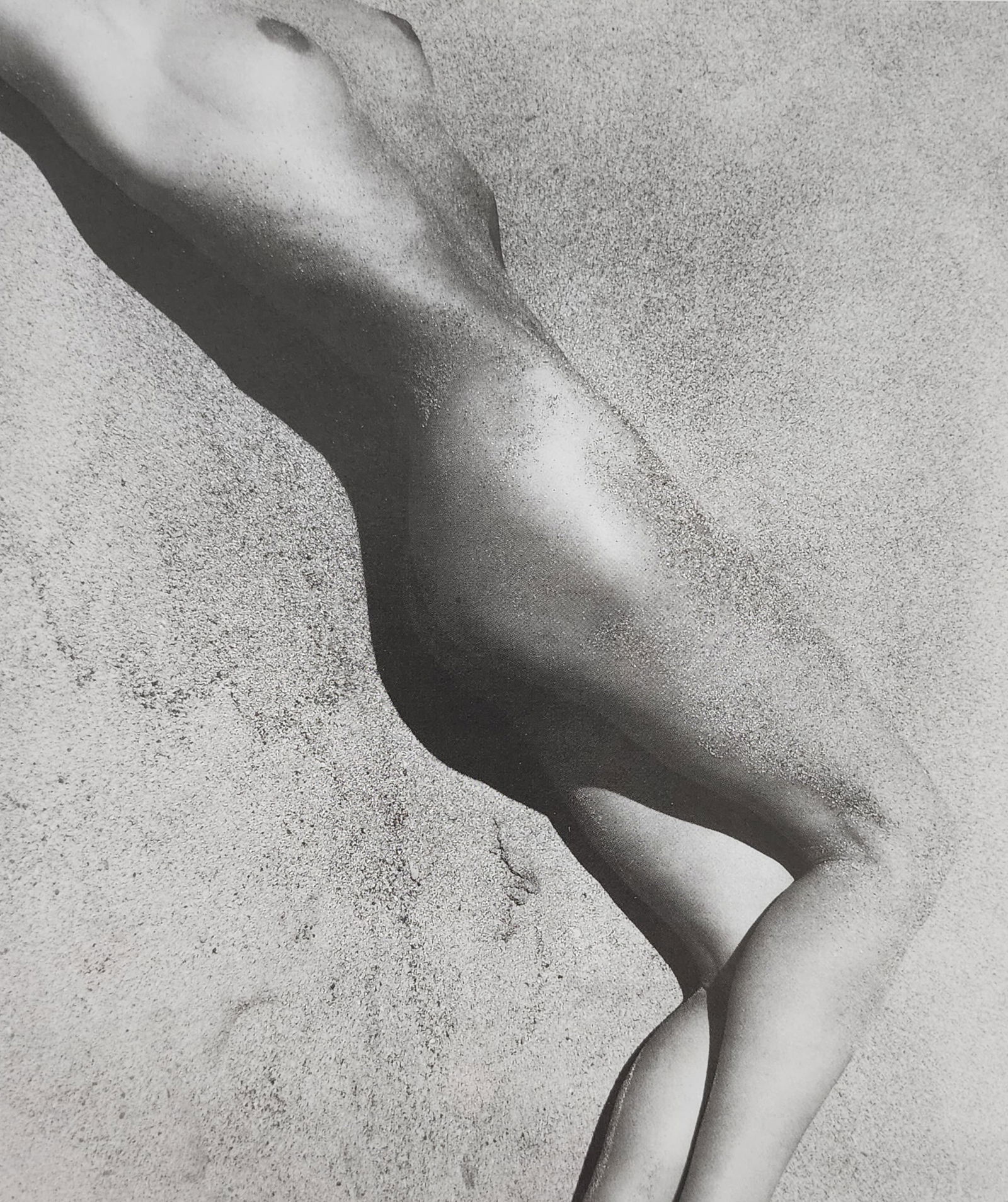 Reality Nude, 2004 (1 of 1)