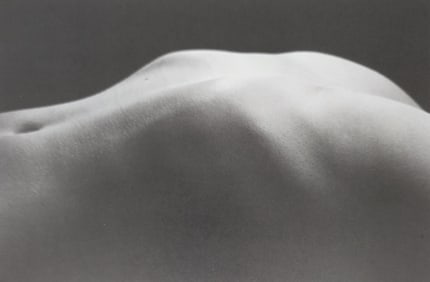 Reality Nude, 2004