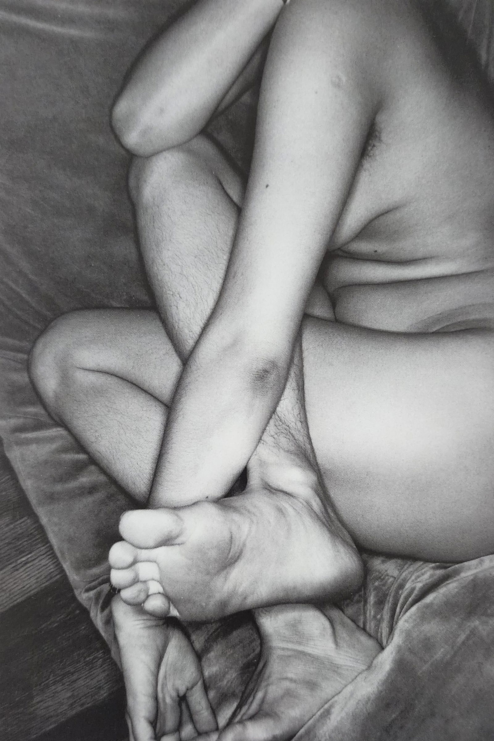 Reality Nude, 2004 (1 of 1)