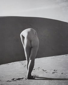 Reality Nude, 2004