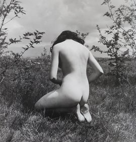 Reality Nude, 2004