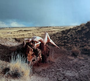 Beauty of the southwest, 2018