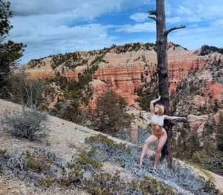 Beauty of the southwest, 2018