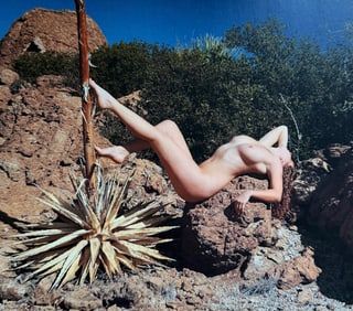 Beauty of the southwest, 2018