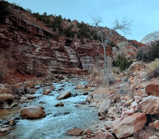 Beauty of the southwest, 2018