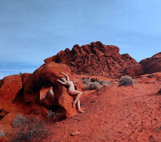 Beauty of the southwest, 2018