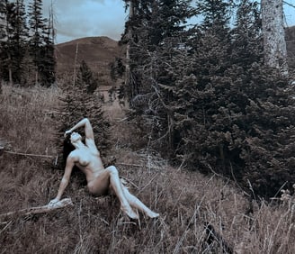 The Beauty of Coloardo, 2019