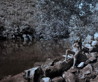 The Beauty of Coloardo, 2019