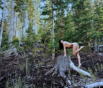 The Beauty of Coloardo, 2019