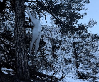 The Beauty of Coloardo, 2019